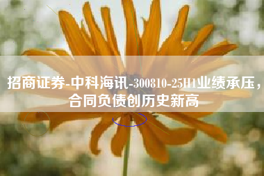 招商证券-中科海讯-300810-25H1业绩承压，合同负债创历史新高
