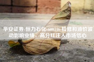 华安证券-恒力石化-600346-检修和油价波动影响业绩，高分红注入市场信心