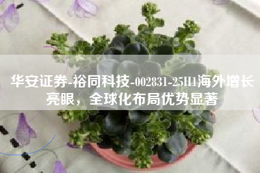 华安证券-裕同科技-002831-25H1海外增长亮眼，全球化布局优势显著