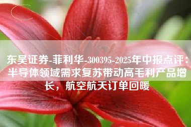 东吴证券-菲利华-300395-2025年中报点评：半导体领域需求复苏带动高毛利产品增长，航空航天订单回暖