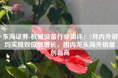 东海证券-机械设备行业简评：7月内外销均实现双位数增长，国内龙头海外销量创新高