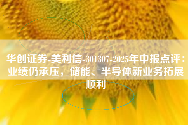 华创证券-美利信-301307-2025年中报点评：业绩仍承压，储能、半导体新业务拓展顺利