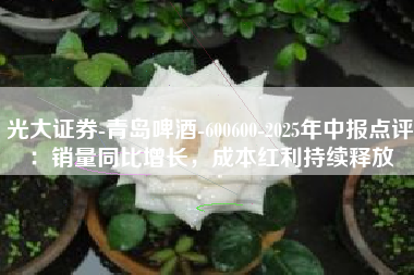 光大证券-青岛啤酒-600600-2025年中报点评：销量同比增长，成本红利持续释放