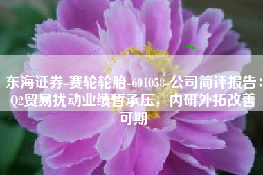 东海证券-赛轮轮胎-601058-公司简评报告：Q2贸易扰动业绩暂承压，内研外拓改善可期