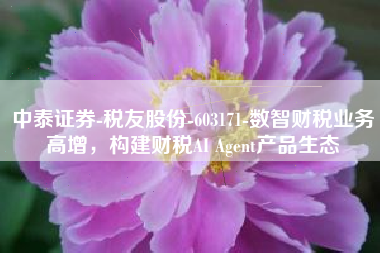 中泰证券-税友股份-603171-数智财税业务高增，构建财税AI Agent产品生态