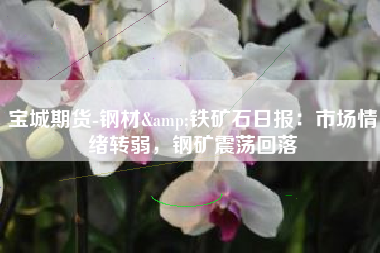 宝城期货-钢材&铁矿石日报：市场情绪转弱，钢矿震荡回落