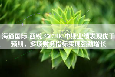 海通国际-西锐-2507.HK-中期业绩表现优于预期，多项财务指标实现强劲增长
