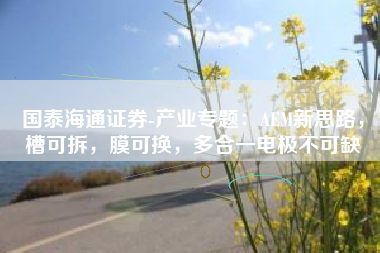 国泰海通证券-产业专题：AEM新思路，槽可拆，膜可换，多合一电极不可缺