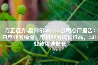 方正证券-星帅尔-002860-公司点评报告：白电业务稳健，电机业务成长性高，25H1业绩快速增长