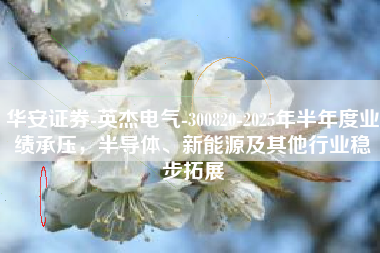 华安证券-英杰电气-300820-2025年半年度业绩承压，半导体、新能源及其他行业稳步拓展