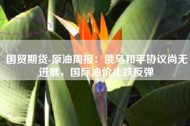 国贸期货-原油周报：俄乌和平协议尚无进展，国际油价止跌反弹