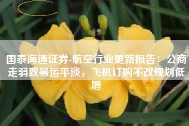 国泰海通证券-航空行业更新报告：公商走弱致暑运平淡，飞机订购不改规划低增