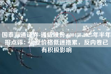 国泰海通证券-通威股份-600438-2025年半年报点评：Q2受价格低迷拖累，反内卷已有积极影响