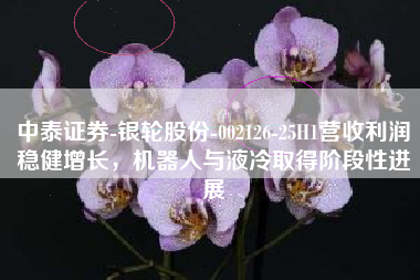 中泰证券-银轮股份-002126-25H1营收利润稳健增长，机器人与液冷取得阶段性进展