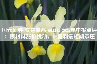 国元证券-安井食品-603345-2025年中报点评：原材料涨价扰动，Q2盈利端短期承压