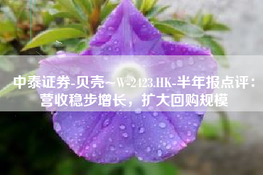 中泰证券-贝壳~W-2423.HK-半年报点评：营收稳步增长，扩大回购规模