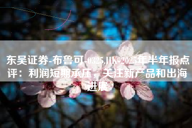 东吴证券-布鲁可-0325.HK-2025年半年报点评：利润短期承压，关注新产品和出海进展