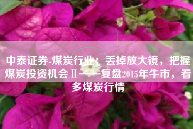 中泰证券-煤炭行业：丢掉放大镜，把握煤炭投资机会Ⅱ——复盘2015年牛市，看多煤炭行情