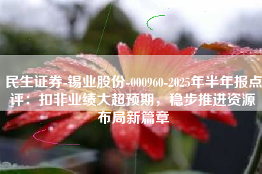 民生证券-锡业股份-000960-2025年半年报点评：扣非业绩大超预期，稳步推进资源布局新篇章