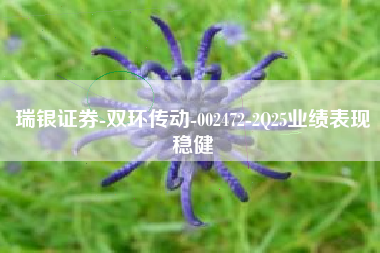 瑞银证券-双环传动-002472-2Q25业绩表现稳健