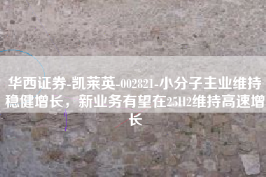 华西证券-凯莱英-002821-小分子主业维持稳健增长，新业务有望在25H2维持高速增长