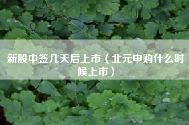 新股中签几天后上市（北元申购什么时候上市）