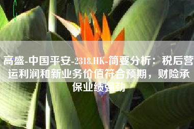 高盛-中国平安-2318.HK-简要分析：税后营运利润和新业务价值符合预期，财险承保业绩强劲