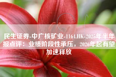 民生证券-中广核矿业-1164.HK-2025年半年报点评：业绩阶段性承压，2026年起有望加速释放