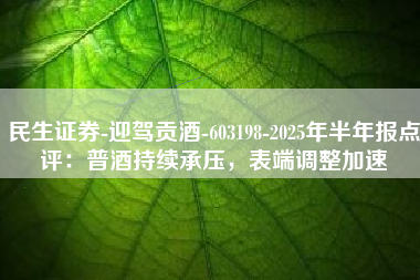 民生证券-迎驾贡酒-603198-2025年半年报点评：普酒持续承压，表端调整加速