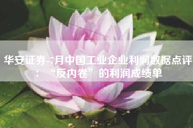 华安证券-7月中国工业企业利润数据点评：“反内卷”的利润成绩单