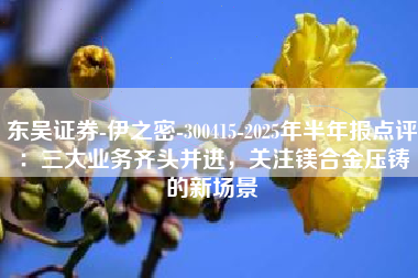 东吴证券-伊之密-300415-2025年半年报点评：三大业务齐头并进，关注镁合金压铸的新场景