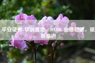平安证券-华润置地-1109.HK-业绩稳健，砥砺奋进