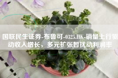 国联民生证券-布鲁可-0325.HK-销量上行驱动收入增长，多元扩张暂扰动利润率