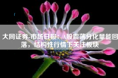 大同证券-市场日报：A股震荡分化量能回落，结构性行情下关注板块
