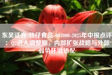 东吴证券-劲仔食品-003000-2025年中报点评：Q2进入调整期，内部扩张战略与外部弱势环境错配