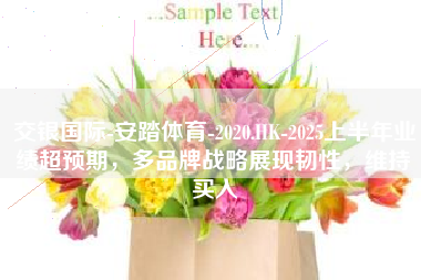 交银国际-安踏体育-2020.HK-2025上半年业绩超预期，多品牌战略展现韧性，维持买入