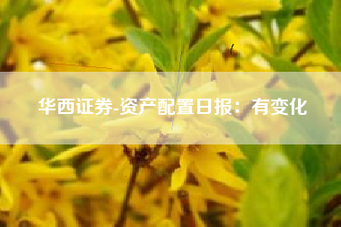 华西证券-资产配置日报：有变化