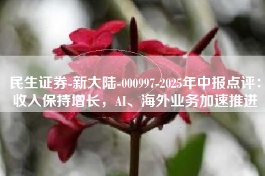 民生证券-新大陆-000997-2025年中报点评：收入保持增长，AI、海外业务加速推进
