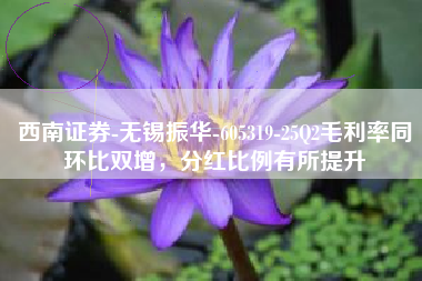 西南证券-无锡振华-605319-25Q2毛利率同环比双增，分红比例有所提升