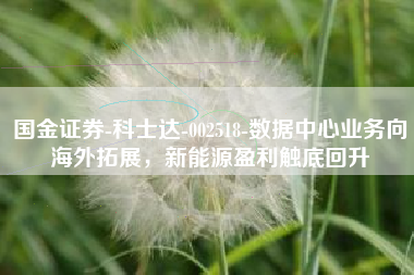 国金证券-科士达-002518-数据中心业务向海外拓展，新能源盈利触底回升