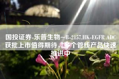国投证券-乐普生物~B-2157.HK-EGFR ADC获批上市值得期待，多个管线产品快速推进中
