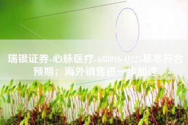 瑞银证券-心脉医疗-688016-Q225基本符合预期；海外销售进一步加速