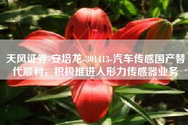 天风证券-安培龙-301413-汽车传感国产替代顺利，积极推进人形力传感器业务