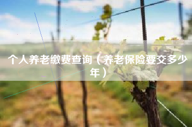 个人养老缴费查询（养老保险要交多少年）