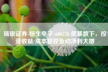 瑞银证券-恒生电子-600570-低基数下，投资收益/成本管控驱动净利大增