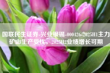 国联民生证券-兴业银锡-000426-2025H1主力矿山生产受扰，2025H2业绩增长可期
