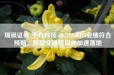 瑞银证券-千方科技-002373-H125业绩符合预期，智慧交通项目或加速落地