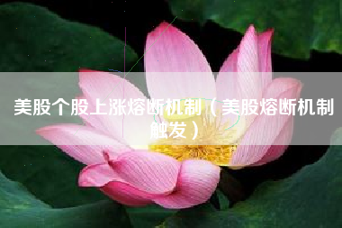 美股个股上涨熔断机制（美股熔断机制触发）