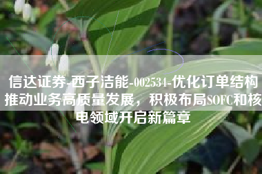 信达证券-西子洁能-002534-优化订单结构推动业务高质量发展，积极布局SOFC和核电领域开启新篇章