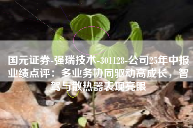 国元证券-强瑞技术-301128-公司25年中报业绩点评：多业务协同驱动高成长，智驾与散热器表现亮眼